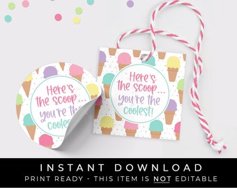 Instant Download You're The Coolest Ice Cream Cookie Tag, Here's The Scoop Ice Cream Waffle Cone Printable Party Favor Gift Tag, #277BID VIP