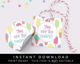 Instant Download Popsicle Ice Cream Cone Tag Printable, You Are The Coolest Summer Cookie Tag Party Favor Tag Cool Summer, #277PFID VIP