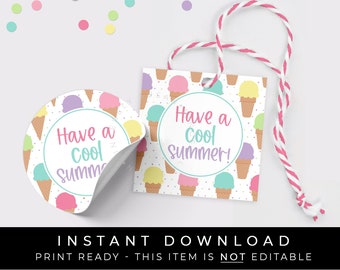 Instant Download Ice Cream Cookie Tag, Have a Cool Summer Ice Cream Waffle Cone Printable Gift Tag, Summer Party Favor Tag, #277DID VIP