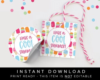 Étiquette de popsicle à téléchargement immédiat, étiquette imprimable d&#39;été cool, emballage de biscuits pour cadeau, téléchargement d&#39;étiquettes pour cadeau, #141AID VIP