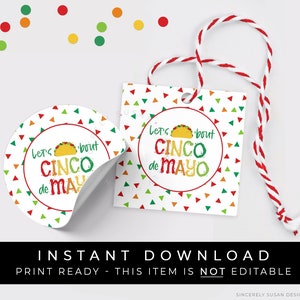 Download instantâneo Lets Taco Bout Cinco de Mayo, Fiesta Confetti Cinco de Mayo Cookie Tag, 5 de maio Mexican Holiday Gift Tag, #133CCID VIP