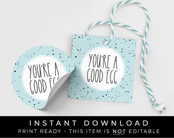 Instant Download You're A Good Egg Easter Cookie Tag, Blue Speckled Robin Egg Farmhouse Easter Spring Cookie Printable Gift Tag, #252EID VIP