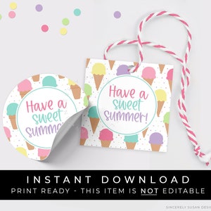 Instant Download Ice Cream Cookie Tag, Have a Sweet Summer Ice Cream Waffle Cone Printable Gift Tag, Summer Party Favor Tag, #277EID VIP