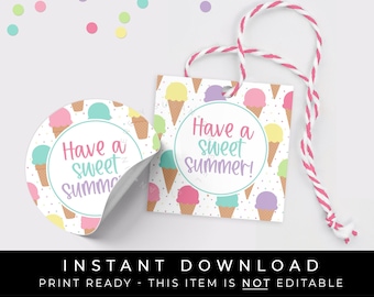 Instant Download Ice Cream Cookie Tag, Have a Sweet Summer Ice Cream Waffle Cone Printable Gift Tag, Summer Party Favor Tag, #277EID VIP