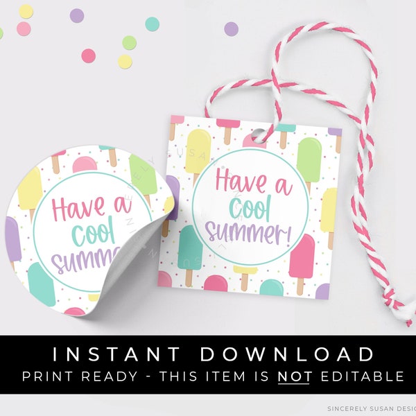 Instant Download Have a Cool Summer Popsicle Tag Printable, Popsicle Cookie Tag Summer Party Favor Creamsicle Ice Cream Pop, #277PAID VIP