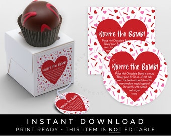Instant Download Valentine Hot Chocolate Bomb Tag, Printable You're the Bomb Red Heart Hot Chocolate Directions Instructions,  #226DID VIP