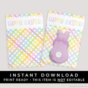 Instant Download Happy Easter Cookie Card Printable, Spring Pastel Gingham Plaid Mini Cookie Card Backer Treat Tag 3.5 x 5", #256AID VIP