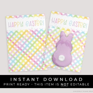 Instant Download Happy Easter Cookie Card Printable, Spring Pastel Gingham Plaid Mini Cookie Card Backer Treat Tag 3.5 x 5", #256AID VIP