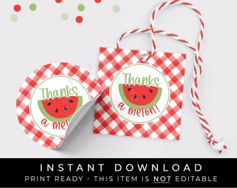 Instant Download Thanks A Melon Watermelon Printable Tag, Watermelon Cookie Tag, Watermelon Thank You Red Gingham Gift Tag, #276FID VIP