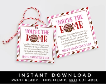 Instant Download You're The Bomb Valentine Hot Chocolate Bomb Tag, Printable Valentine's Day Hot Cocoa Gift Tag Directions, #231BID VIP