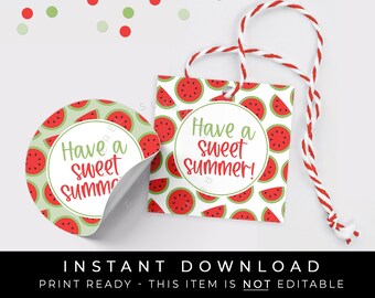 Sofortiger Download Wassermelone Cookie Tag, Have a Sweet Summer druckbares Tag, Sommer Wassermelone Geschenkanhänger, #276CID VIP