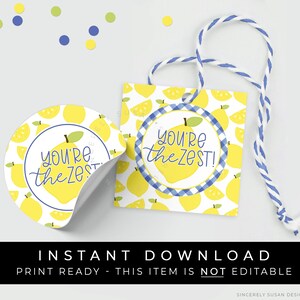 Instant Download You're The Zest Lemon Cookie Tag, Blue Gingham Check You Are The Best Lemon Printable Gift Tag, #275ZBUID VIP