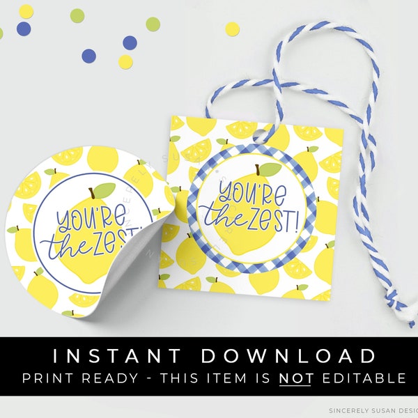 Instant Download You're The Zest Lemon Cookie Tag, Blue Gingham Check You Are The Best Lemon Printable Gift Tag, #275ZBUID VIP