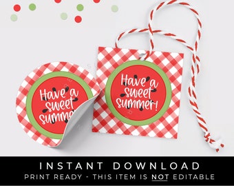Instant Download Summer Watermelon Printable Tag, Have a Sweet Summer Watermelon Cookie Tag, Red Gingham Printable Gift Tag, #276AID VIP