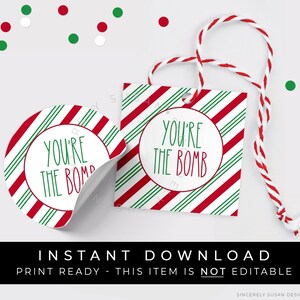 Instant Download You're The Bomb Christmas Hot Chocolate Bomb Tag, Holiday Hot Cocoa Bomb Gift Tag Candy Cane Stripe, #196GID VIP