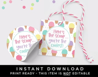 Instant Download You're The Coolest Ice Cream Cookie Tag, Summer Ice Cream Waffle Cone Printable Party Favor Gift Tag, #277CID VIP