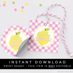 Instant Download Pink Lemon Hello Sweet Summer Cookie Tag, Pink Lemonade Gingham Lemon Printable Summer Gift Tag, #275PID VIP