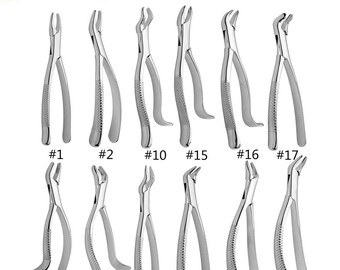 歯科用抜歯鉗子セット：ステンレススチール製口腔外科用プライヤー（10