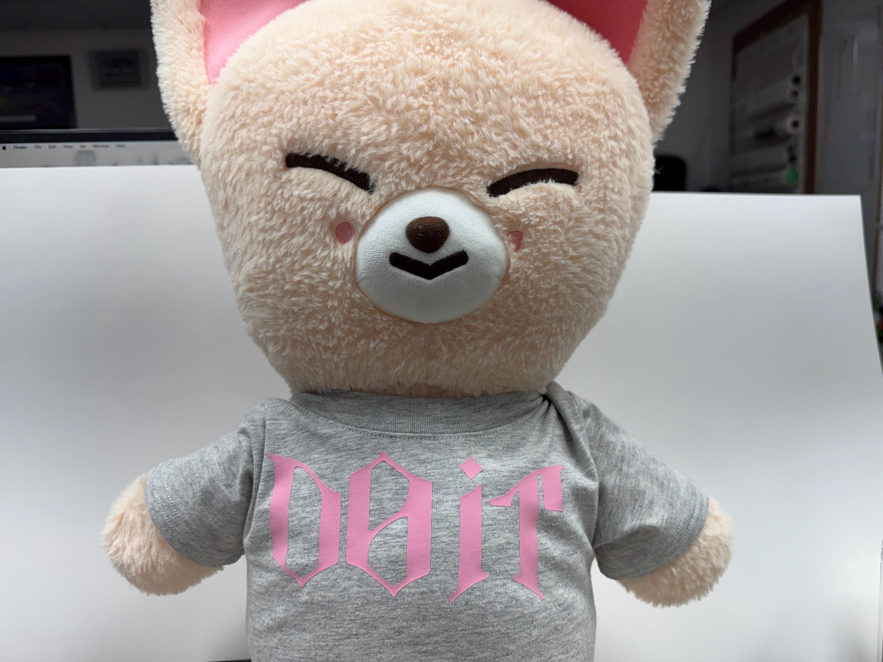SKZOO PLUSH テディベア Jiniret StrayKids s-l1200.jpg