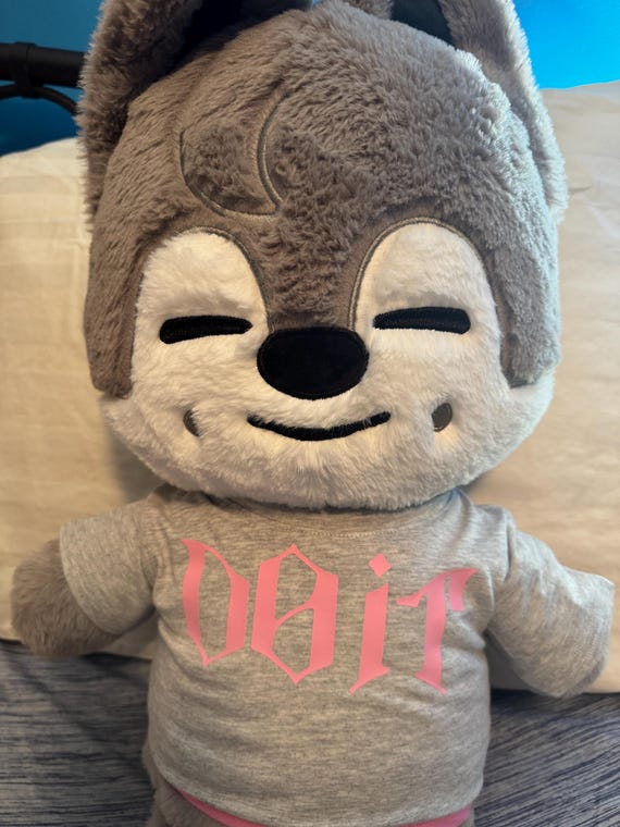 Stray Kids Skzoo Teddy Bear Tee Shirt - Etsy