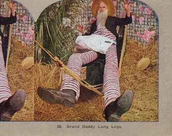 Striped pants are still trending Antique stereo view card grand Daddy long Legs