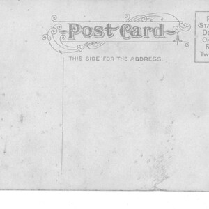 The Essence Of Love vintage postcard roses and hearts bild 2
