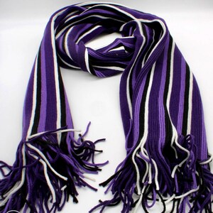 May include: A purple, white and black striped scarf with fringe on the ends.