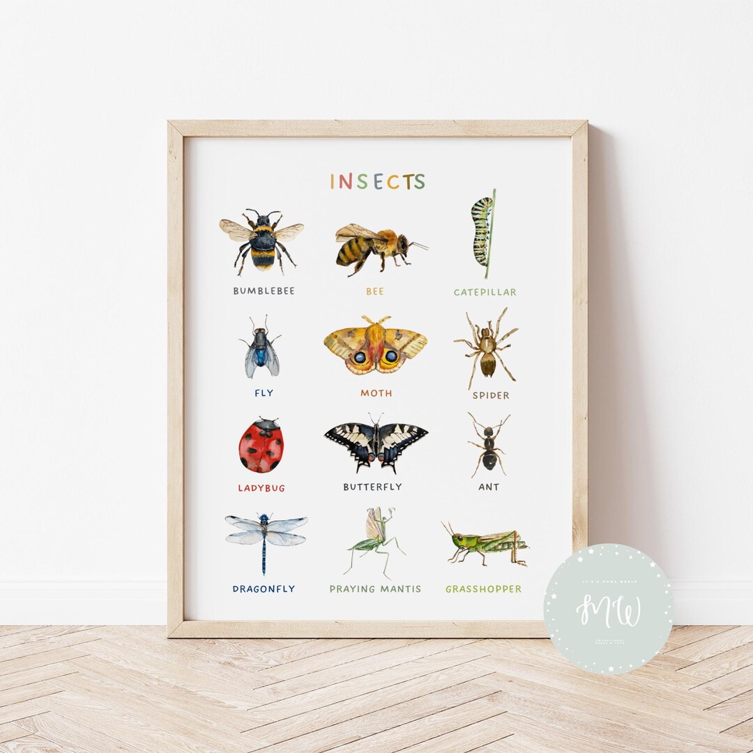 Insects Montessori Poster: Educational Kids Wall Art (digital Download ...