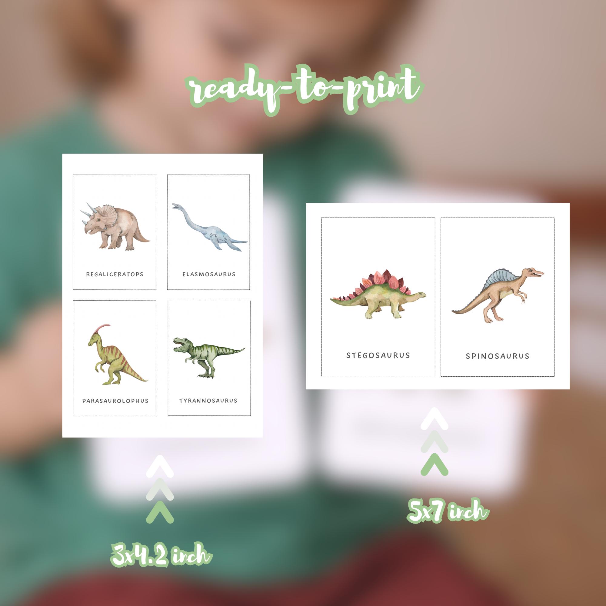 10 Dinosaur Flashcards Printable | Montessori 3-part Cards | Dinosaur ...