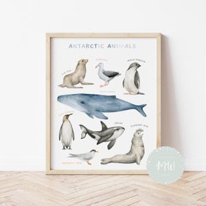Póster de animales antárticos / Mapa del mundo / Pósteres educativos / Decoración para el aula / Imprimible para preescolar / Arte mural para niños / Descarga digital