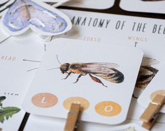 Bee Unit Study: Montessori-Inspired Spring Activities (PDF Download)