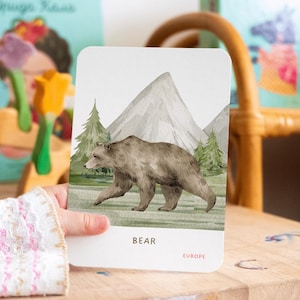 10 Printable Animal Flashcards | European Animal Flashcards | Kids Flashcards | Preschool Printable | Homeschool | Digital Download
