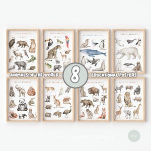 Set van 8 educatieve posters | Wilde dierenposter | Dieren van de wereld | Muurkunst voor kinderen | Klasdecoratie | Digitale download