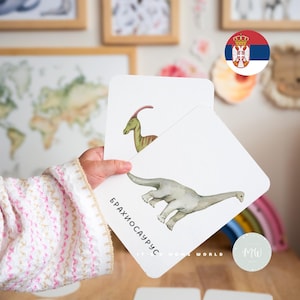 10 kartica | Dinosaurusi | Montessori edukativne kartice za decu (Digitalni proizvod)