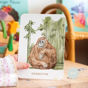 10 Printable Animal Flashcards | Asian Animal Flashcards | Kids Flashcards | Preschool Printable | Homeschool Printable | Digital Download