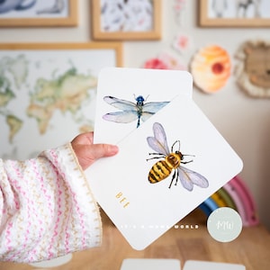 Cartões de Insetos Montessori | Cartões de Aprendizagem Interativos de Insetos | Cartões de Flash Educacionais Digitais para Download e Impressão para Crianças