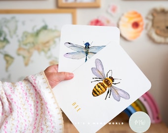 Montessori Insects Flashcards | Printable Kids Flashcards | Homeschool Materials | Digital Download
