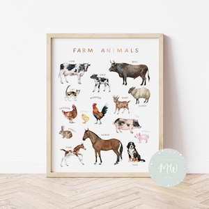 Farm Animals Poster | Domestic Animals Print | Educational Posters | Homeschool Decor | Playroom Decor | Digital Download