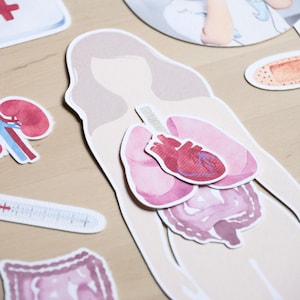 Human Body Unit Study | Preschool Science | Anatomy for Kids | Printable Homeschool Resource | Educational Worksheets | Digital Download