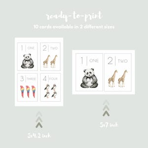 Puede incluir: Cartas de aprendizaje imprimibles con animales y n&uacute;meros. Las cartas incluyen un panda, una jirafa, un loro y un frailecillo. Las cartas est&aacute;n disponibles en dos tama&ntilde;os: 3x4,2 pulgadas y 5x7 pulgadas.