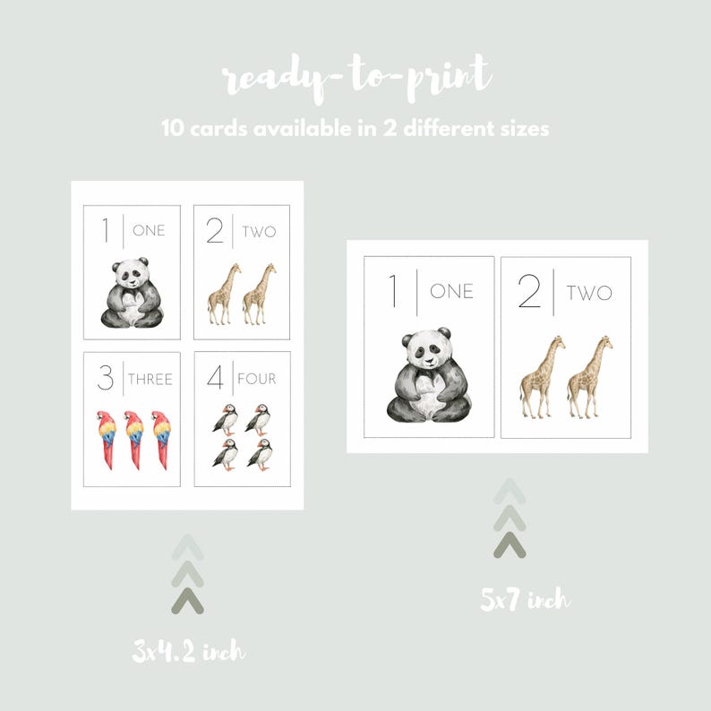 Puede incluir: Cartas de aprendizaje imprimibles con animales y n&uacute;meros. Las cartas incluyen un panda, una jirafa, un loro y un frailecillo. Las cartas est&aacute;n disponibles en dos tama&ntilde;os: 3x4,2 pulgadas y 5x7 pulgadas.