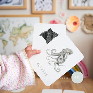 Montessori Sea Animals Flashcards | Interactive Ocean Learning Cards | Digital Download & Printable Educational Flashcards for Kids