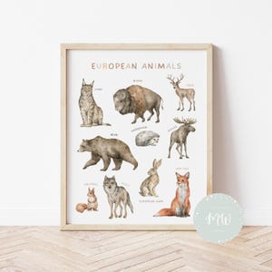 Europese dierenposter | Wereldkaart | Educatieve poster | Klasdecoratie | Afdrukbare kleuterschool | Peuterkamerdecoratie | Digitale download