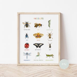 Póster de insectos imprimible / Póster de bichos / Pósters educativos / Educación en casa / Arte mural infantil / Pósteres Montessori / Descarga digital