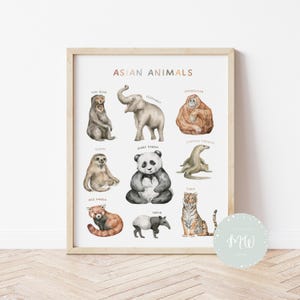 Aziatische dierenposter | Wereldkaart | Educatieve posters | Klasdecoratie | Afdrukbare kleuterschool | Peuterkamerdecoratie | Digitale download