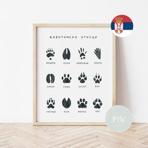 ivotinjski otisci | Affiche Edukativni za decu (Digitalni proizvod)