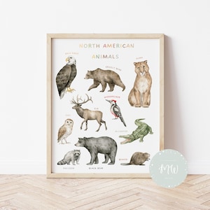 Póster de animales de América del Norte / Mapa del mundo / Pósteres educativos / Decoración para el aula / Imprimible para preescolar / Arte mural para niños / Descarga digital