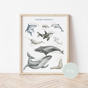 Póster de animales del océano / Póster de animales salvajes / Vida marina / Pósteres educativos / Decoración para la educación en el hogar / Pósteres Montessori / Descarga digital