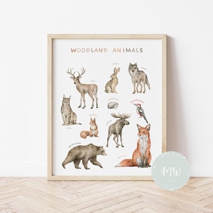 Póster de animales del bosque / Póster de animales salvajes / Pósters educativos / Decoración para la educación en casa / Pósters Montessori / Descarga digital