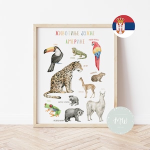 Životinje Južne Amerike | Edukativni poster za decu (Digitalni proizvod)